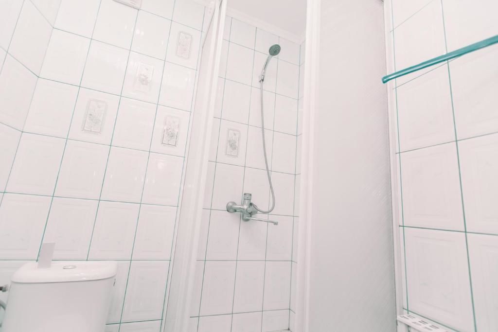 Гостевой дом Apartments in Uzhgorod Ужгород